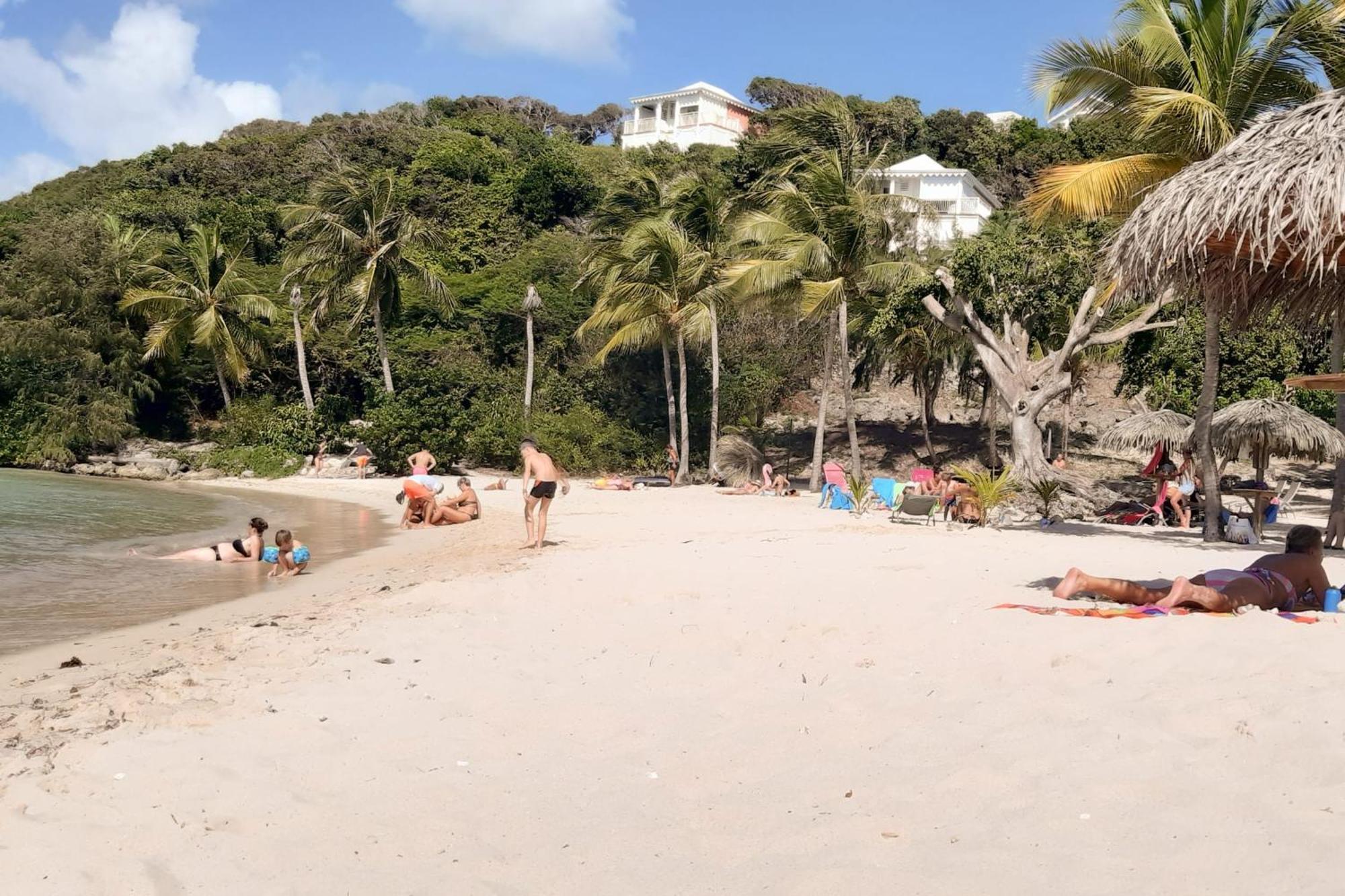 Coconut Saint-Francois (Grande-Terre)